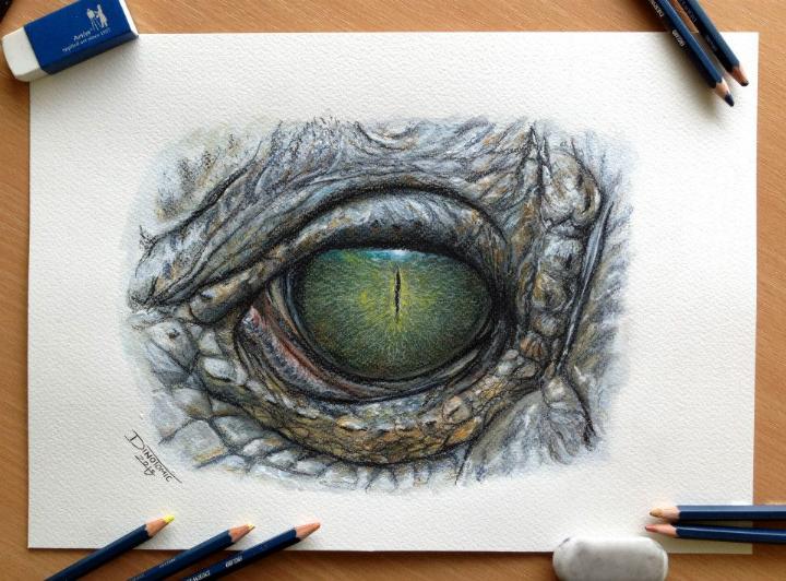 Dino Tomic – Eye Color Pencil Drawing Study | Feather Of Me